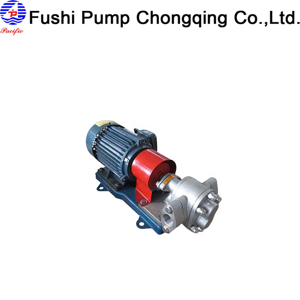 Marine Stainless Steel Fuel Pump